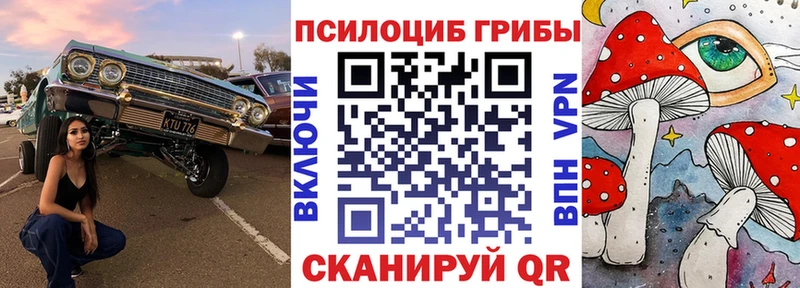 kraken tor  Чернушка  Псилоцибиновые грибы прущие грибы 